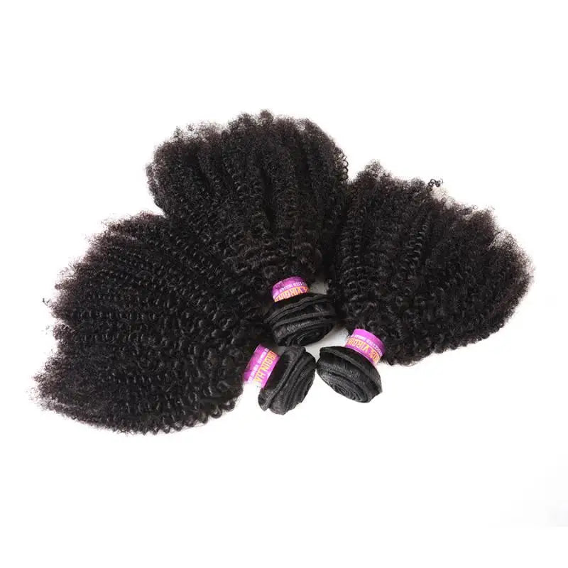Afro Kinky Curly Human Hair Bundles Extensions 100g/PC Indian Remy Hair Natural Color Double Weft 1/3/5Pcs Set Full End