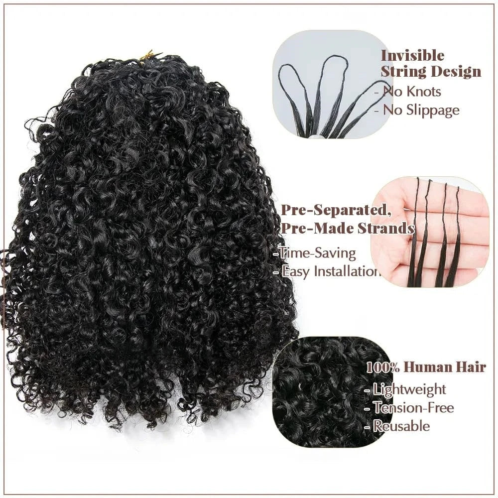 240g Afro Kinky Burmese Curly Crochet Human Hair Knotless Pre-Separated Crochet Feather Hair Extensions Curly Human Hair